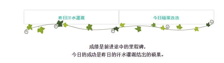 港澳宝奥苹果手机